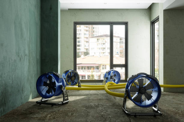 Best Ceiling water damage repair  in Bren Bow, OK